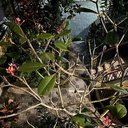 Balimas Guest House ウブド エクステリア 写真