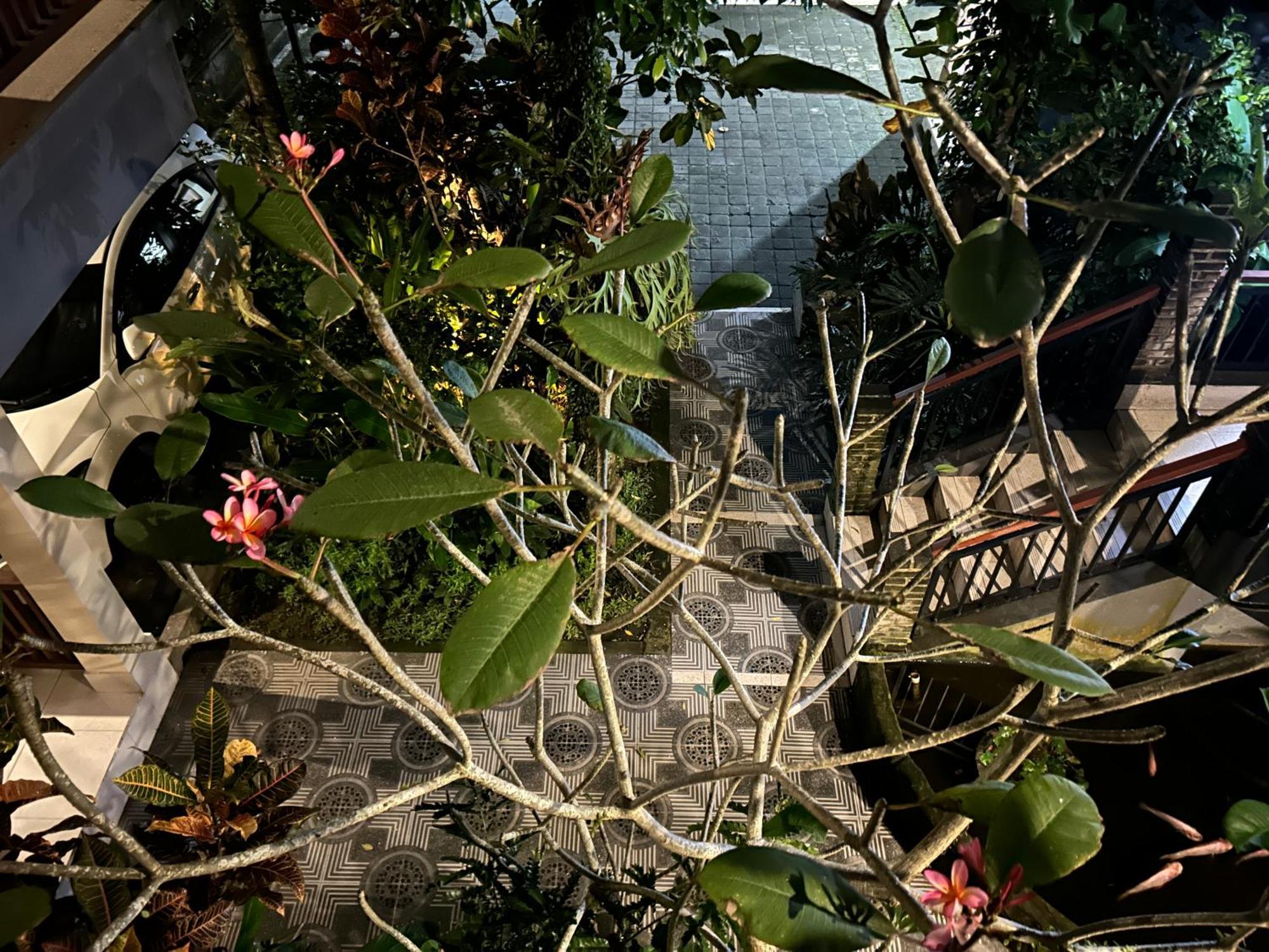 Balimas Guest House ウブド エクステリア 写真